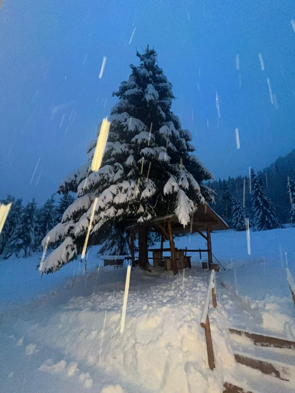 Granero Colibita Chalet in Romania