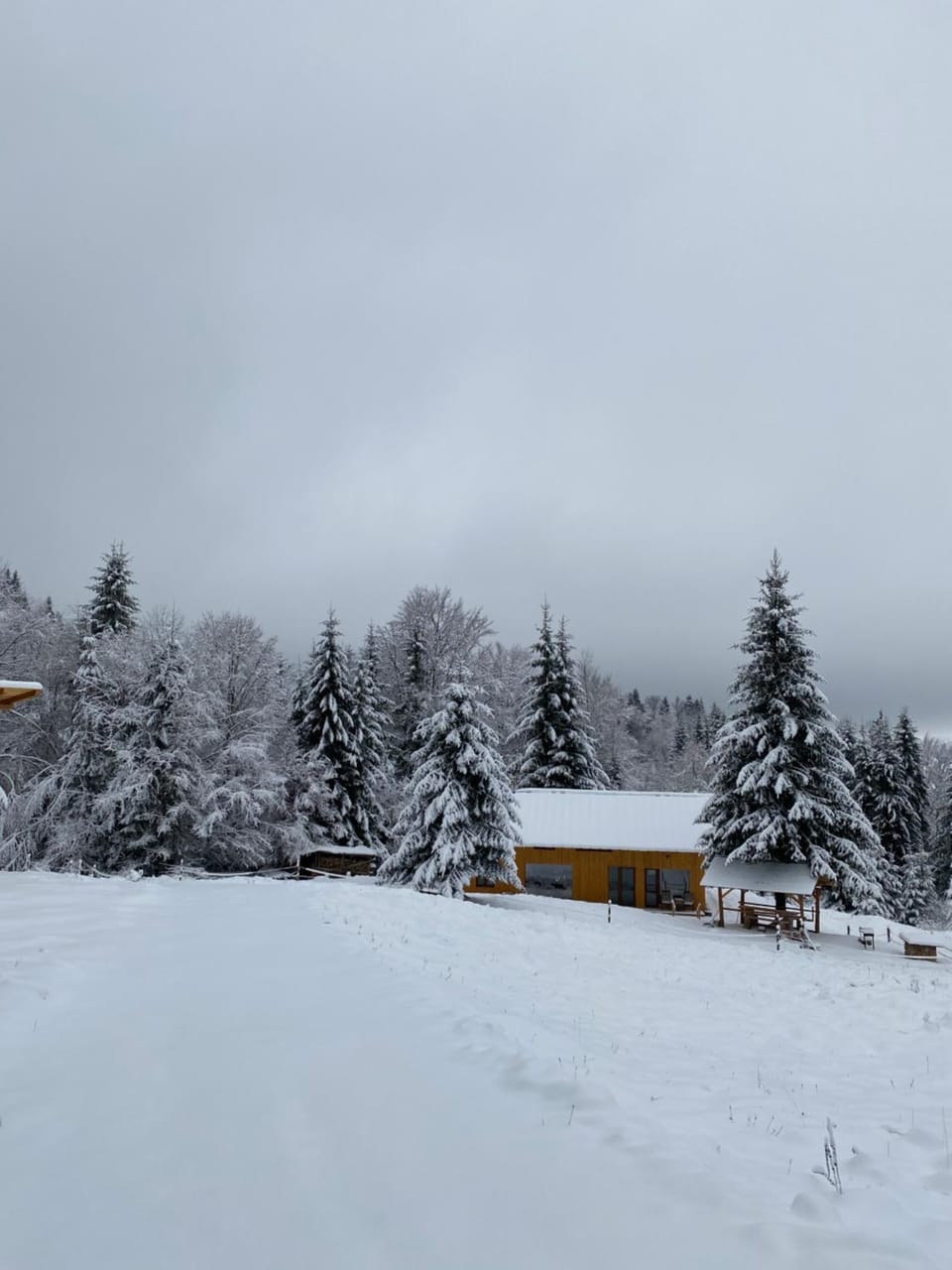 Granero Colibita Chalet in Romania