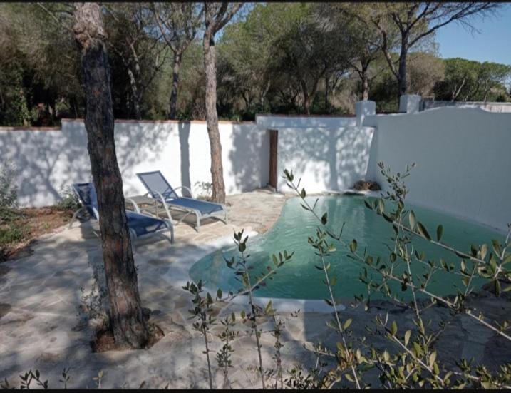 Swimming pool, sunbed