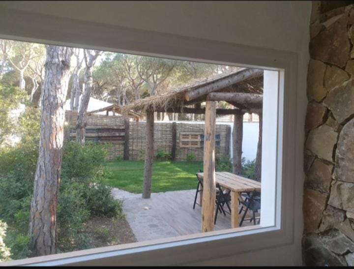 Garden view