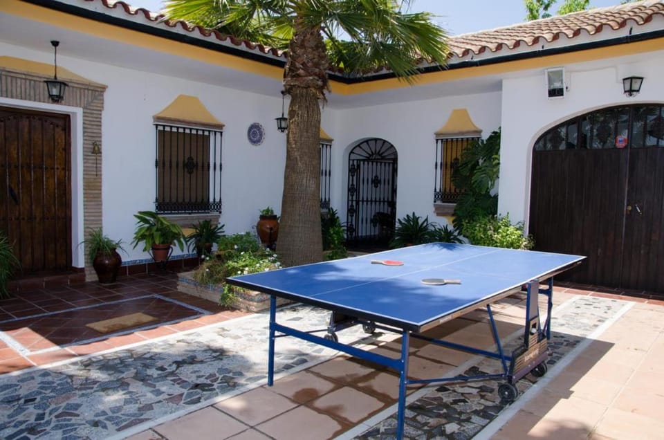 Property building, Table tennis, Other, furniture
