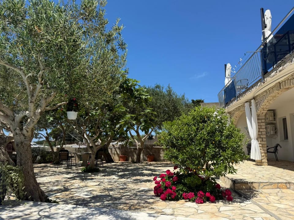 Studio apartmani Alex Apartment in Novalja