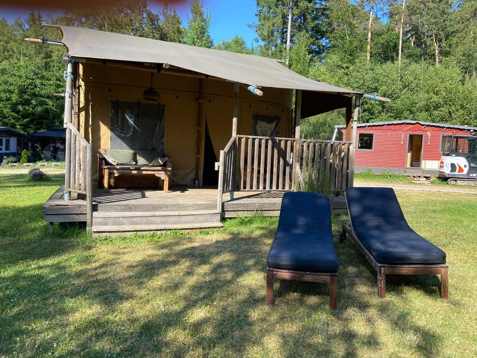 Property building, Garden, sunbed