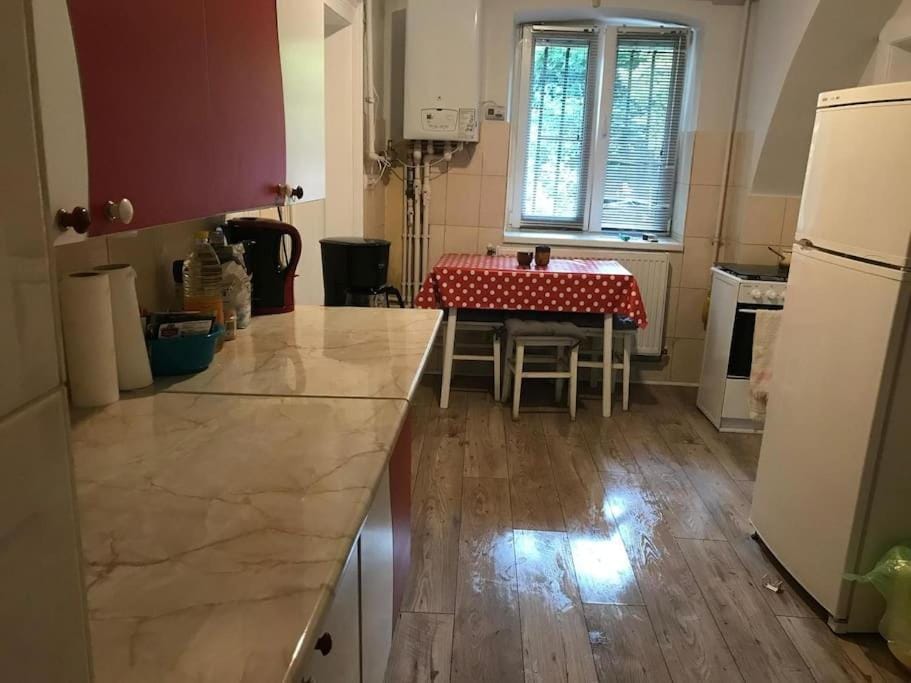Kitchen or kitchenette, pet friendly