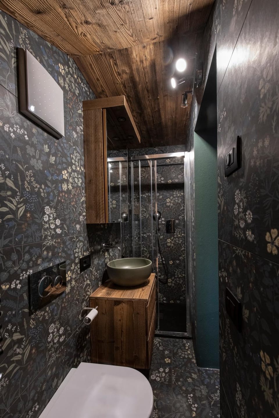 Shower, Toilet