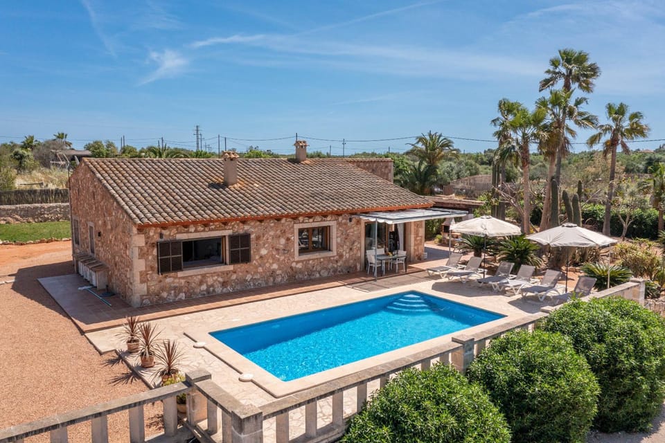 Garden, Garden view, Swimming pool, sunbed