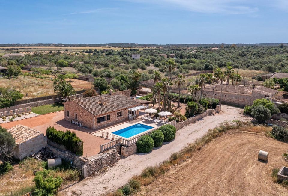 Property building, Natural landscape, Bird's eye view, Garden, Pool view, Swimming pool, sunbed