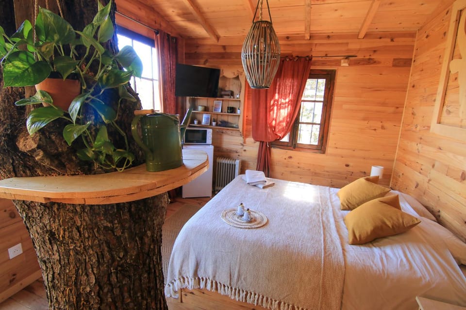 Bed, TV and multimedia, Photo of the whole room, Bedroom