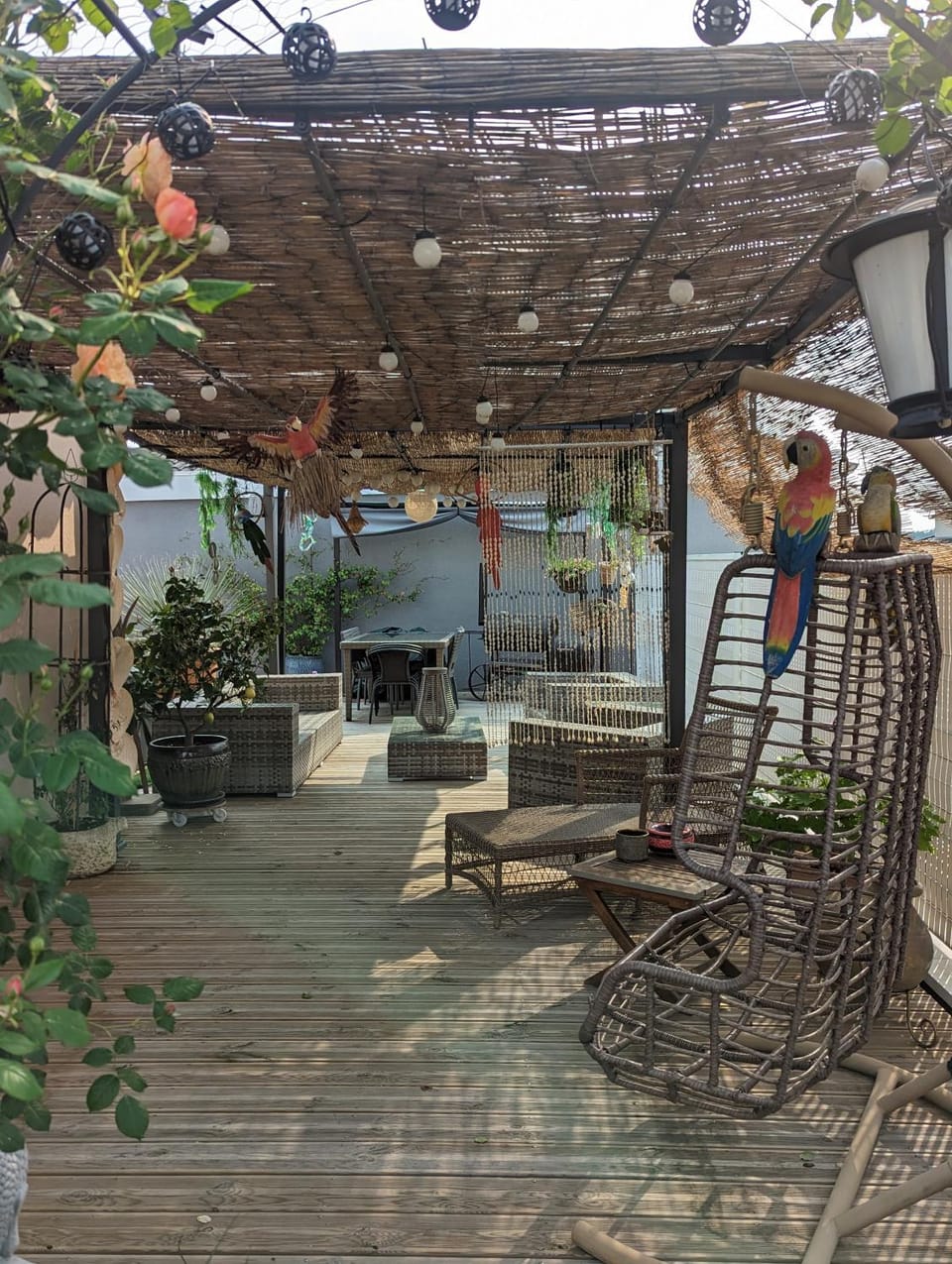 Patio, Garden