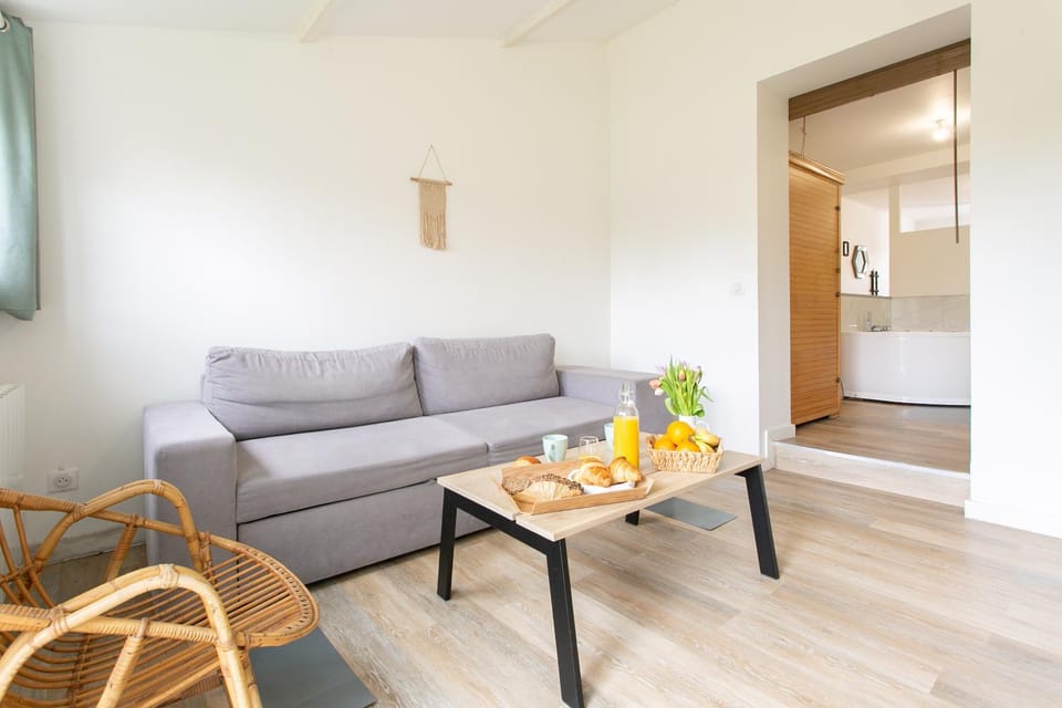 Séjour Sauna et Jacuzzi Cocon Apartment in Pays de la Loire