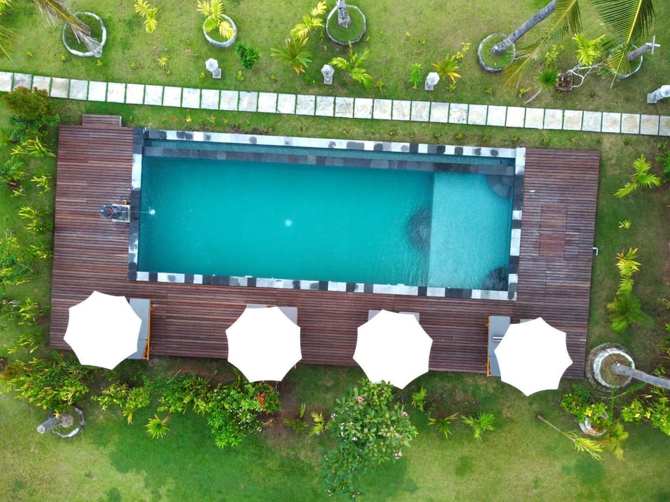 Garden, Pool view, Swimming pool, sunbed