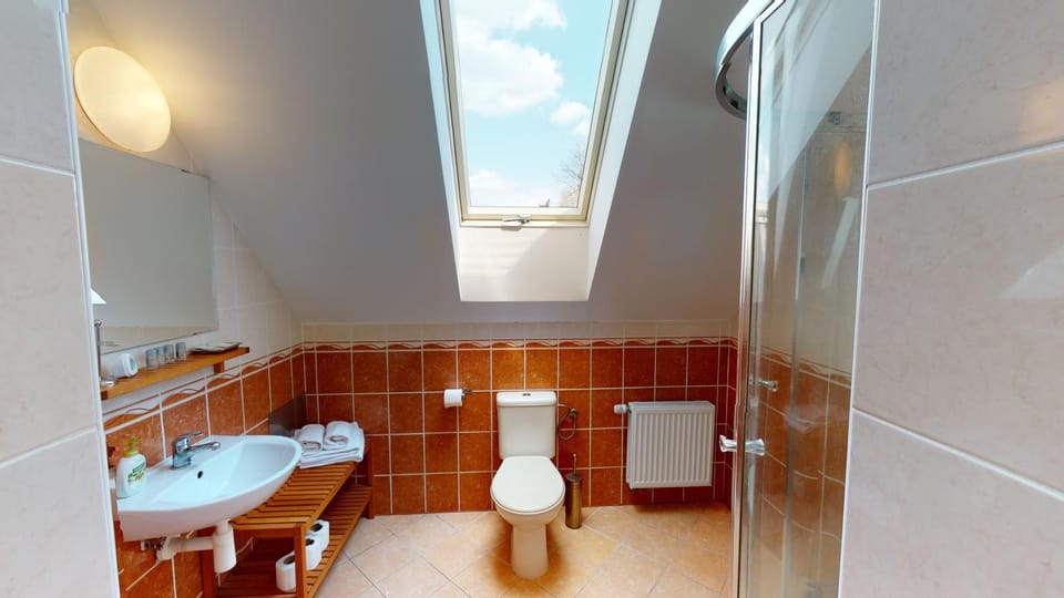 Shower, Toilet, Bathroom, towels