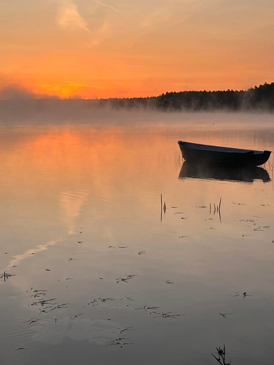 Natural landscape, Activities, Lake view, Sunrise, Sunset