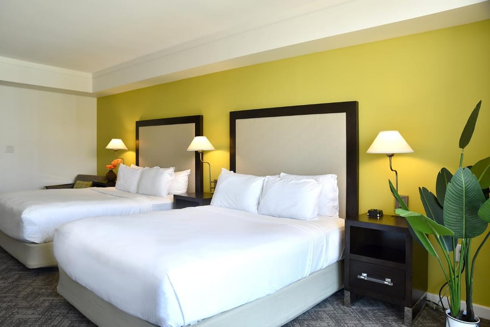 Stunning 12th Floor Studio In The Heart Of Grove House in Coconut Grove