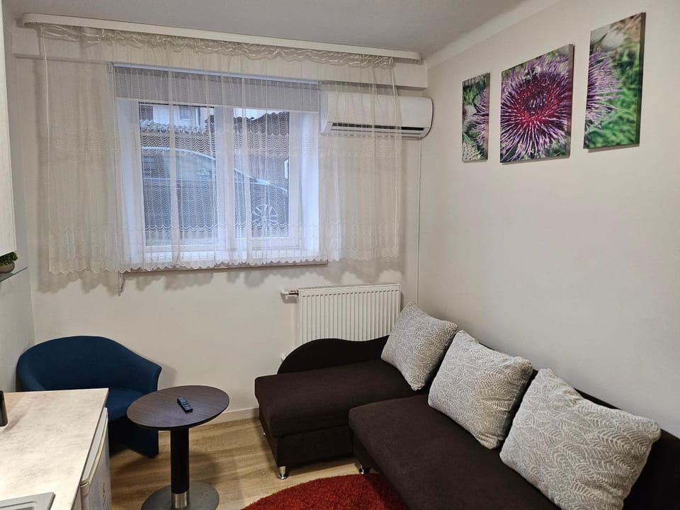 Living room, Seating area, Dining area, air conditioner