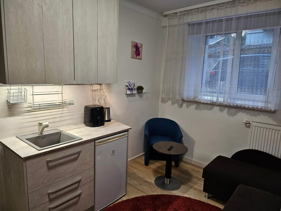 Kitchen or kitchenette, Living room, Seating area, toaster