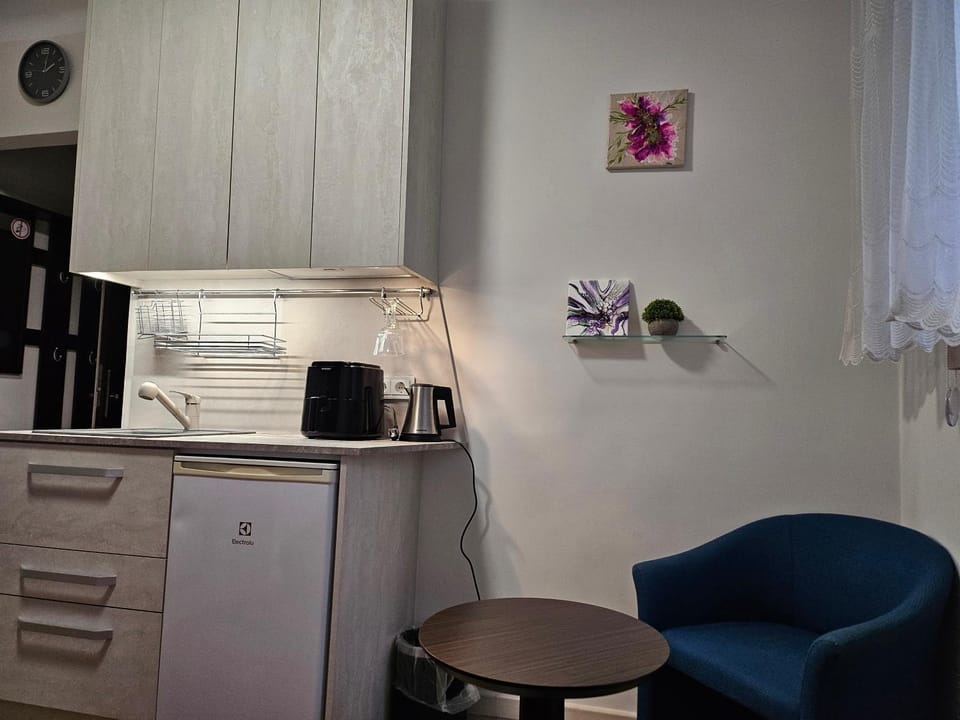 Kitchen or kitchenette, Living room, Seating area, toaster