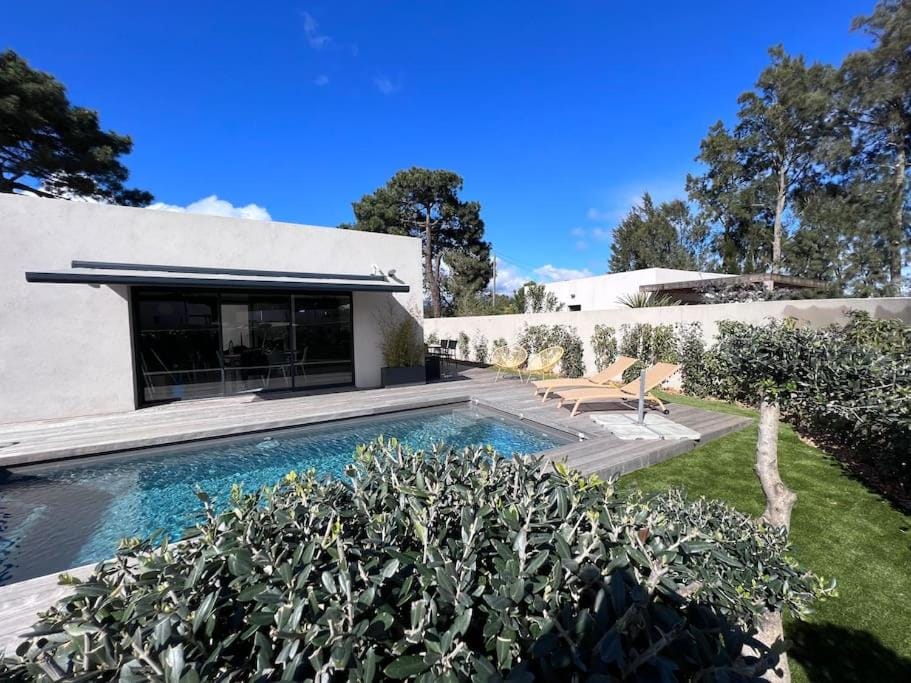 Spring, Garden view, Swimming pool