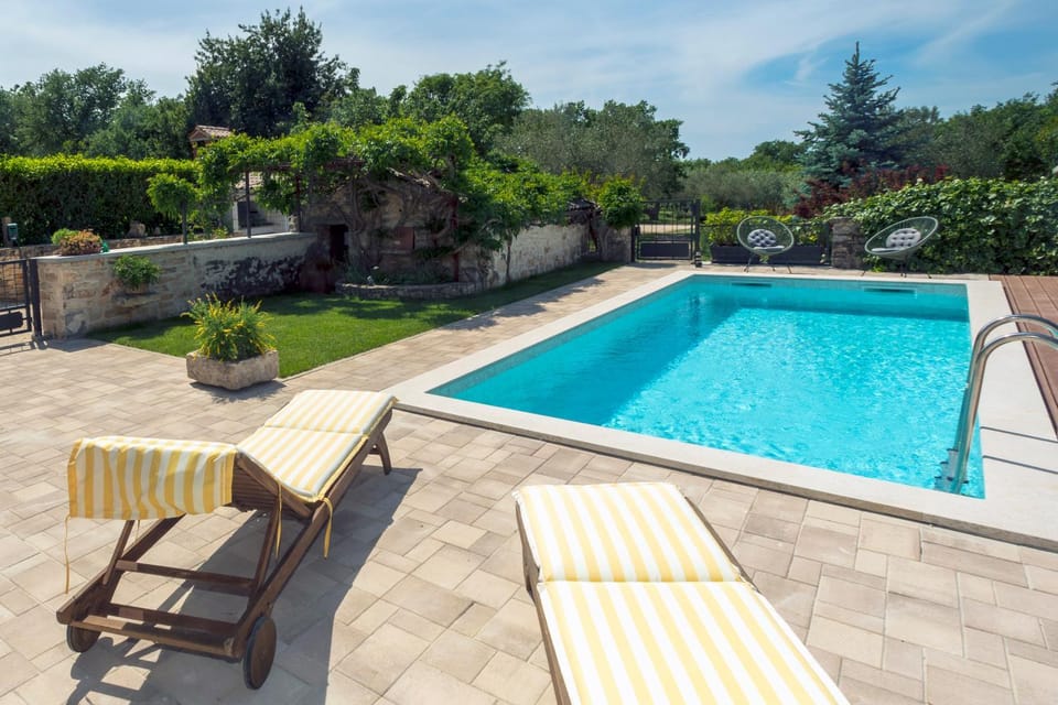 Garden, Swimming pool, sunbed