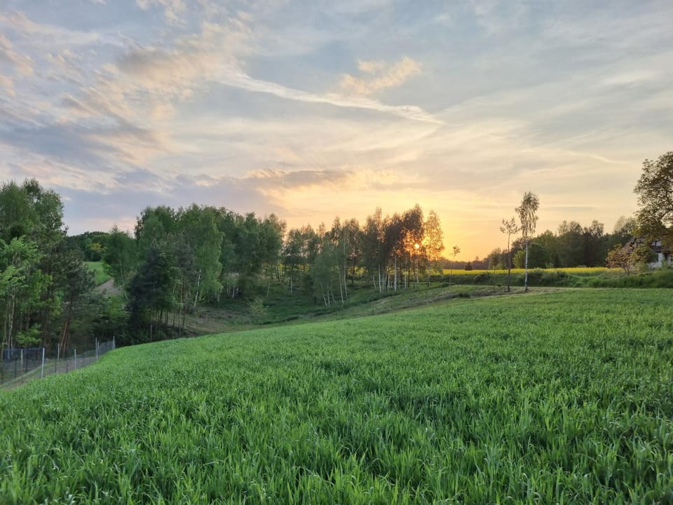 Natural landscape, Garden view