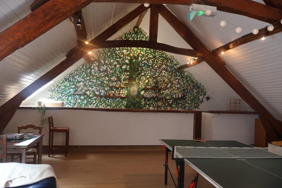 Solfé Backpacker Hostel in Luz-Saint-Sauveur