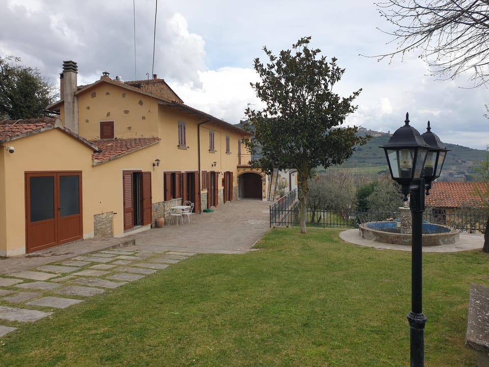 Property building, Garden, Garden view