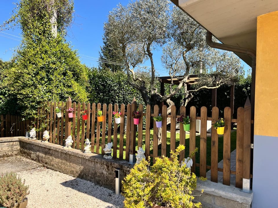 Day, Garden, Garden view
