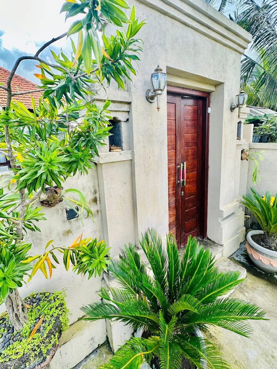 Garden view