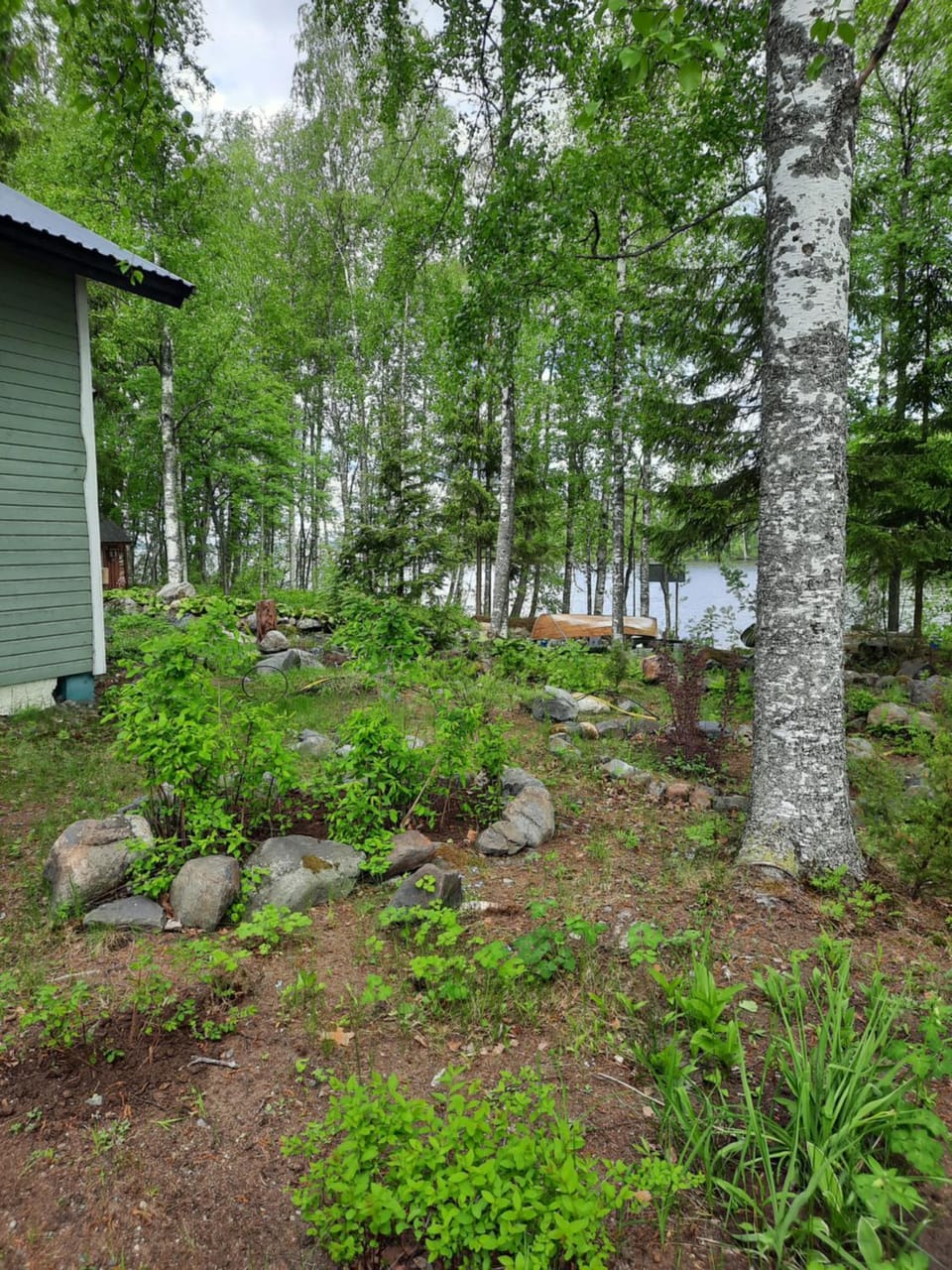 Natural landscape, Garden view