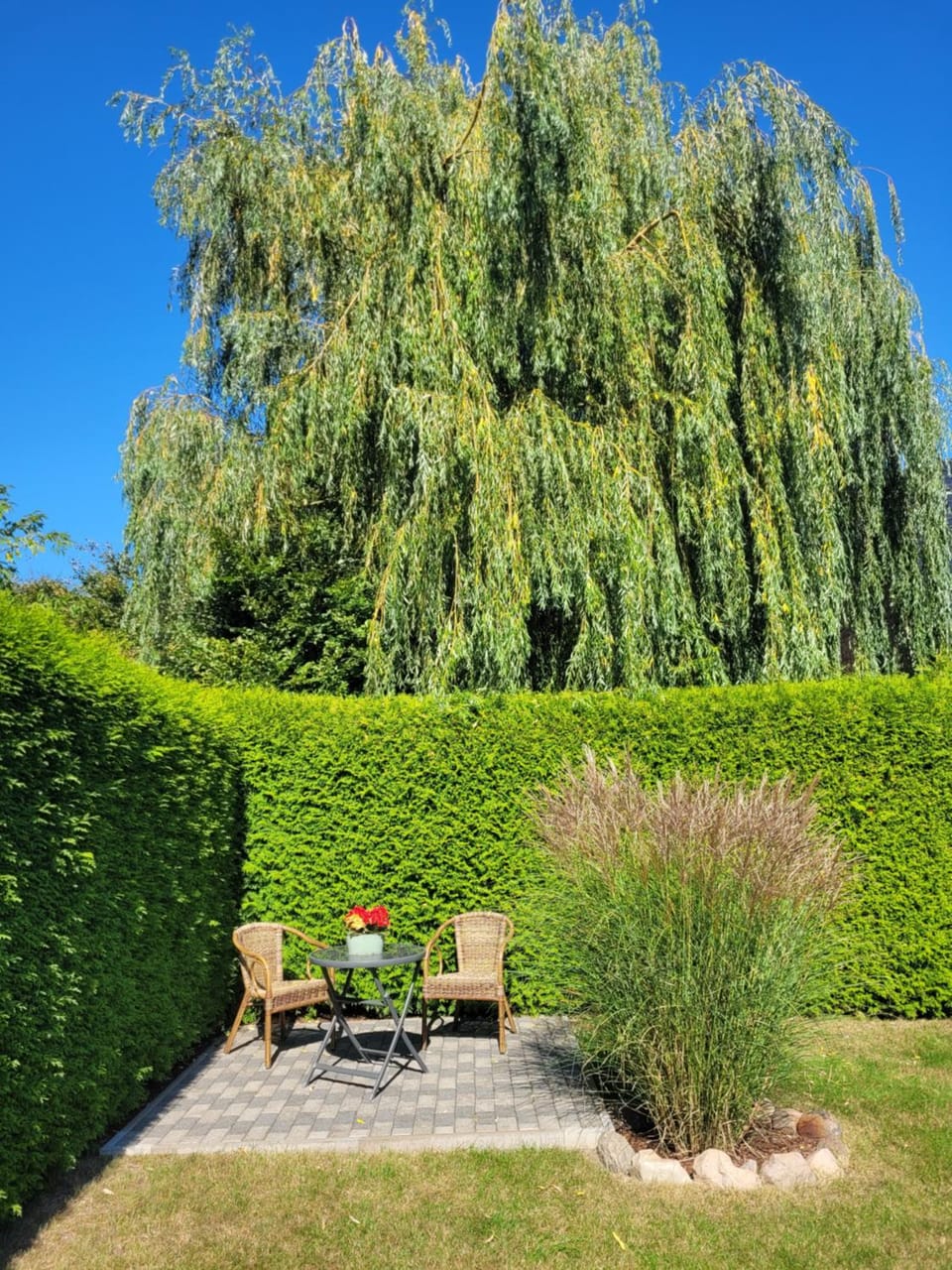 Garden view