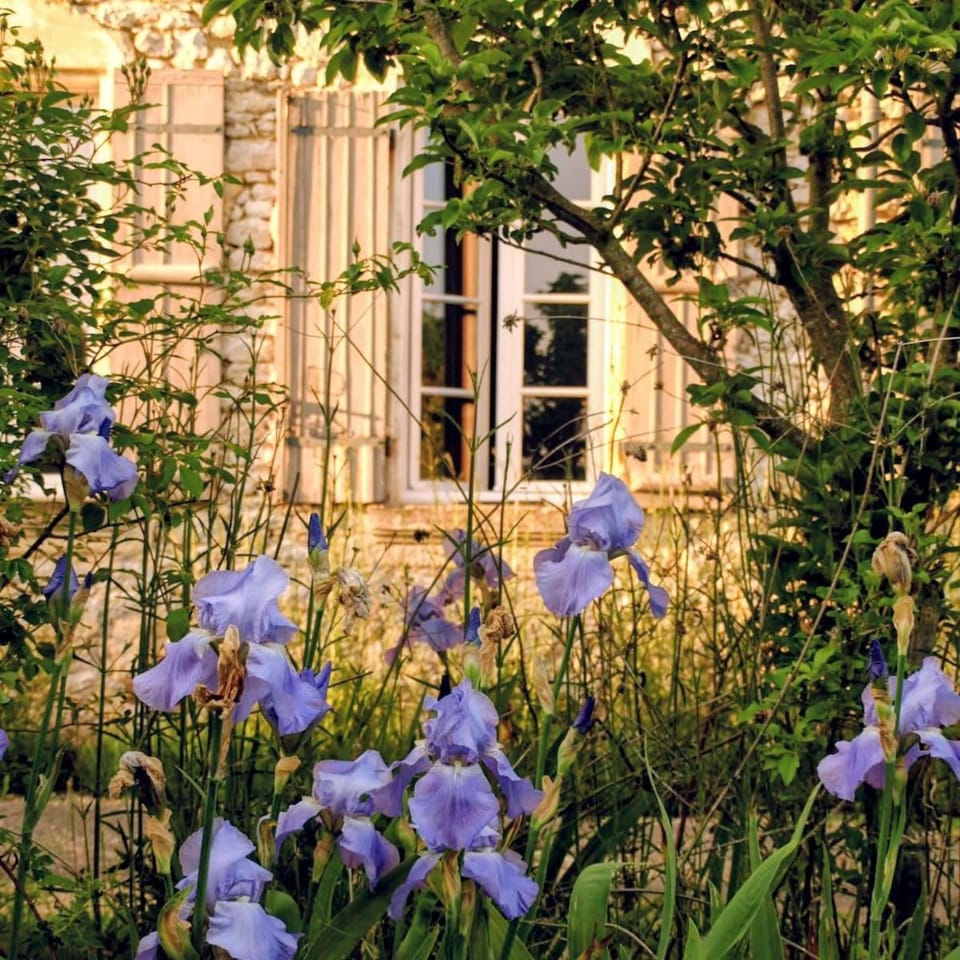 Manoir des Vités, Charming Country House House in Nouvelle-Aquitaine