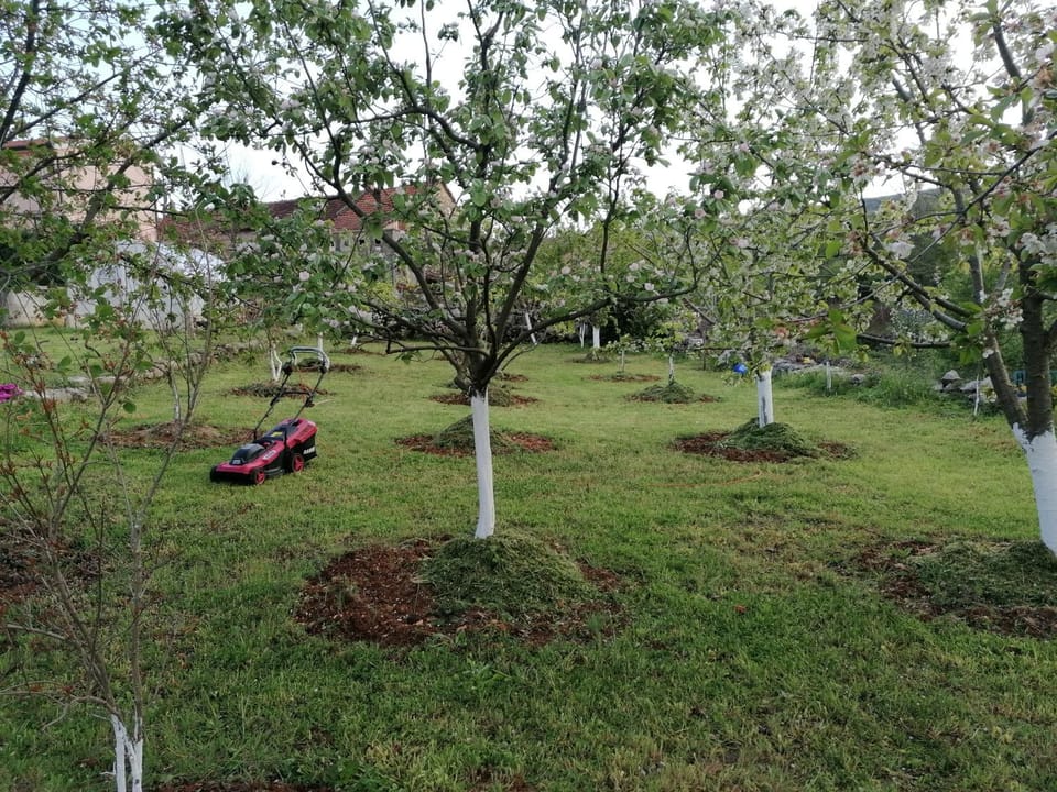 Spring, Garden view