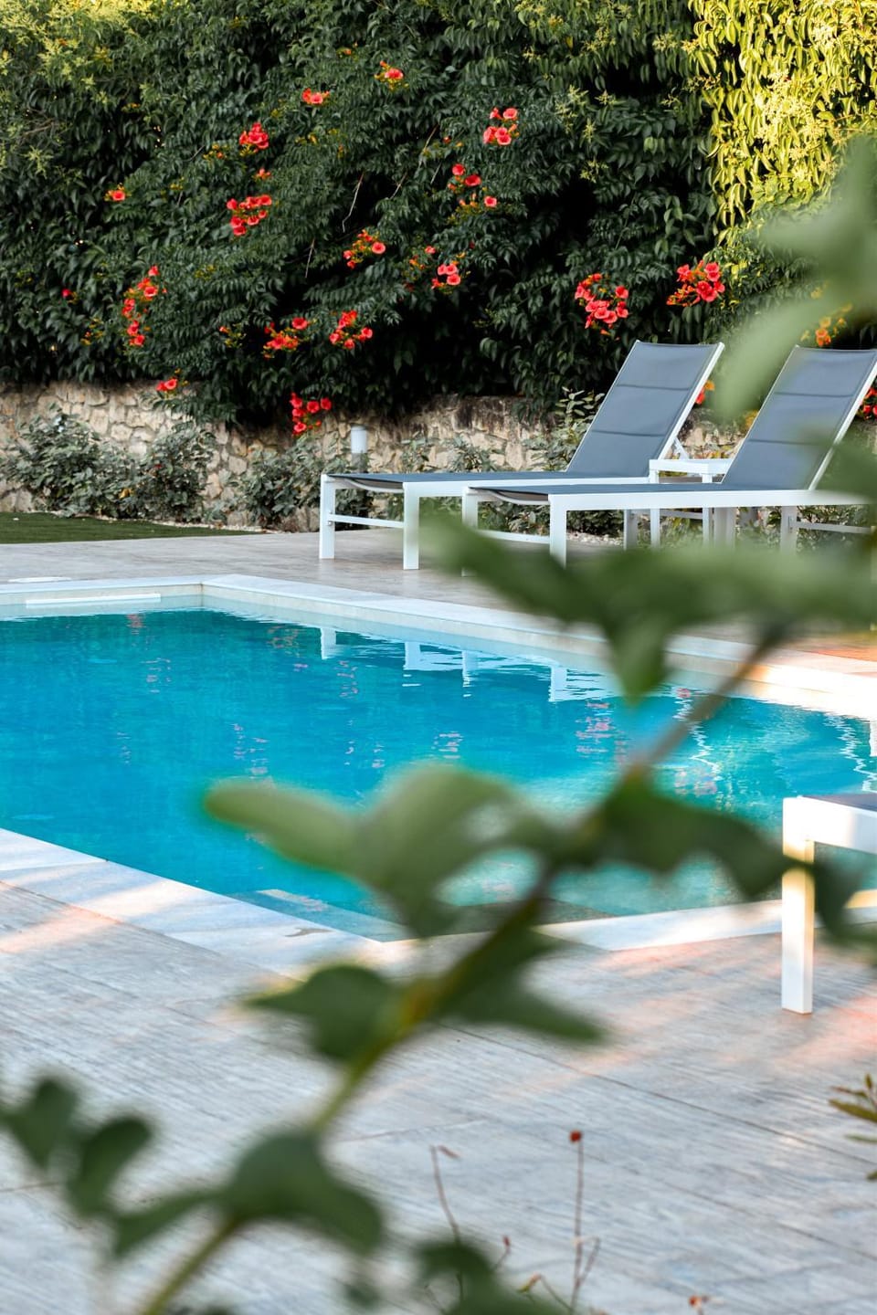Day, Garden, Garden view, Pool view, Swimming pool, sunbed