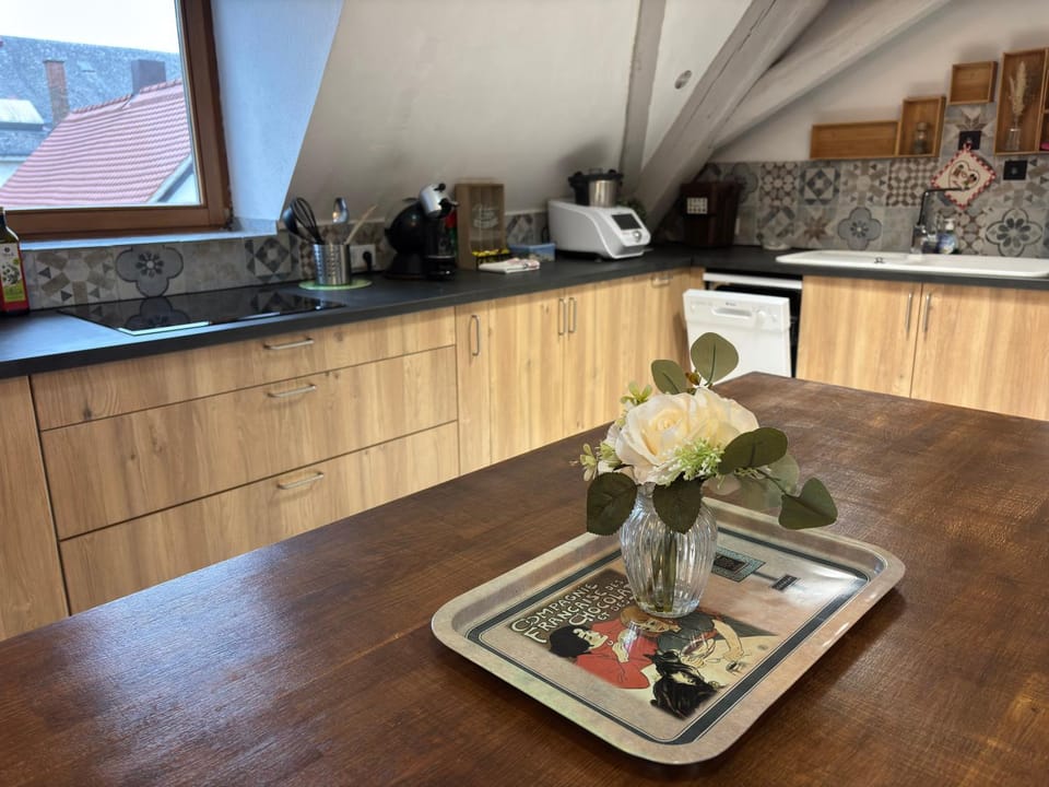 Le Nid Alsacien - Centre Ville - Proche Parking Gratuit - Europa-park Vacation rental in Baden-Württemberg