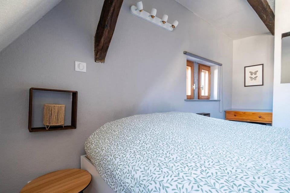 Le Nid Alsacien - Centre Ville - Proche Parking Gratuit - Europa-park Vacation rental in Baden-Württemberg