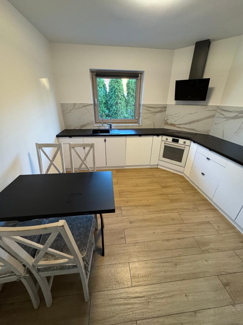 Kitchen or kitchenette, Dining area, dishwasher, oven, stove