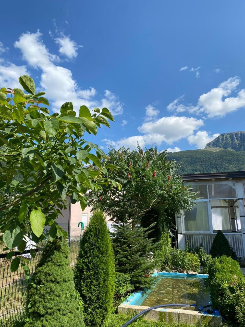 Spring, Day, Natural landscape