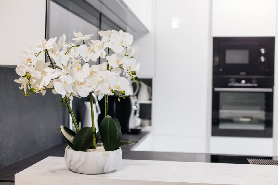 Lira Suites Apartment in Ulcinj Municipality