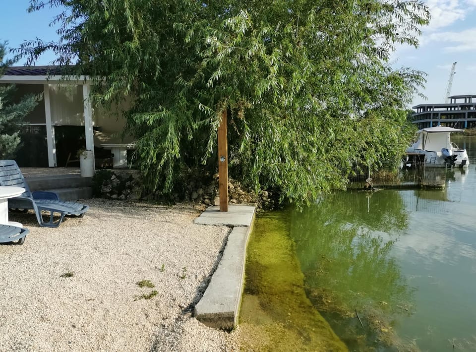 Lake view