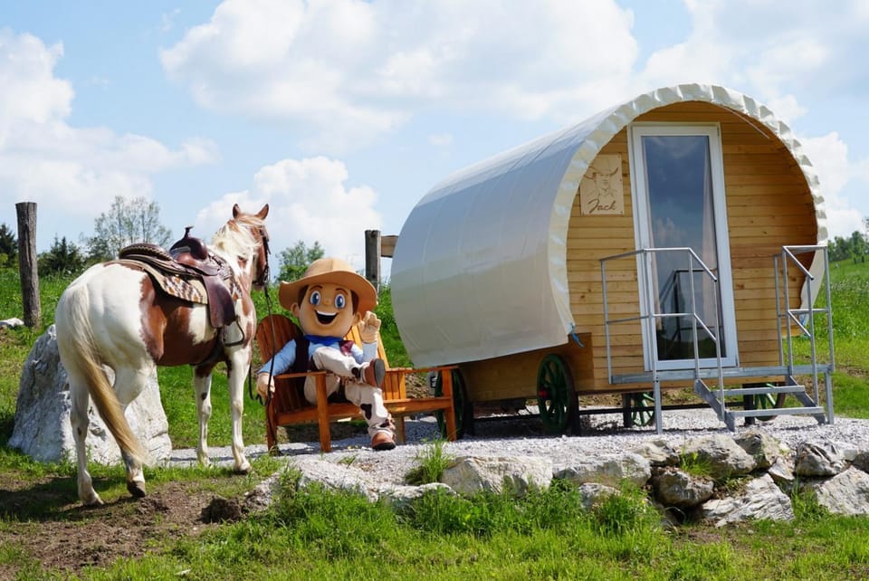 Day, Garden, Animals, Entertainment