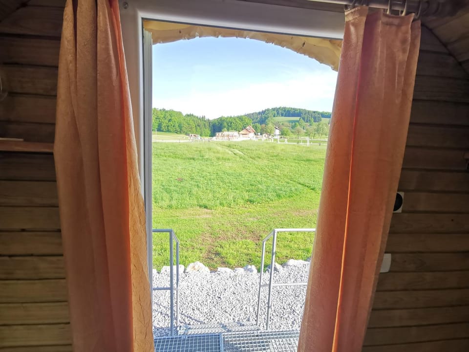 Day, Natural landscape, Garden, View (from property/room)
