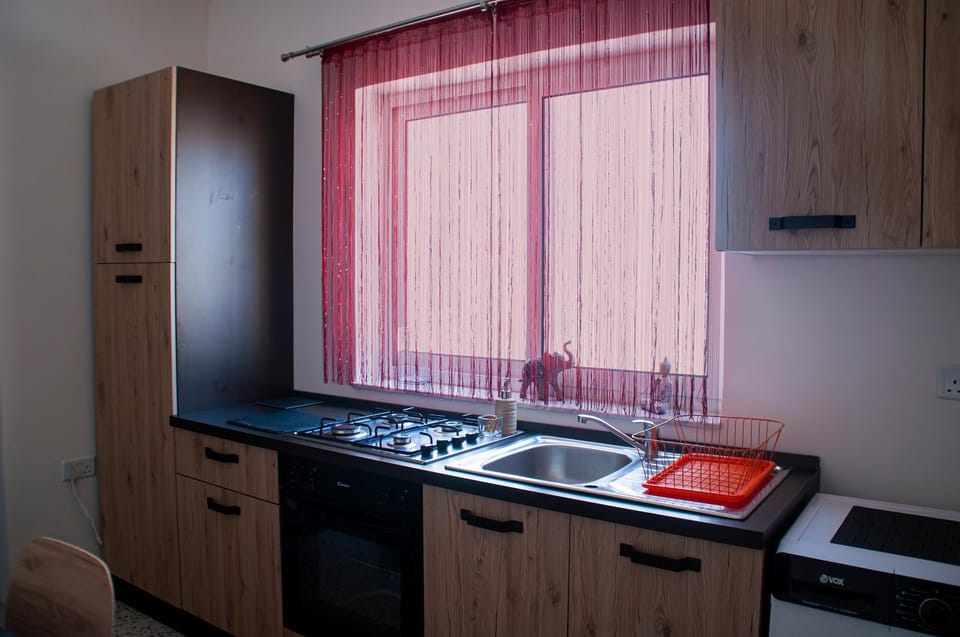 Kitchen or kitchenette, minibar, pet friendly, stove