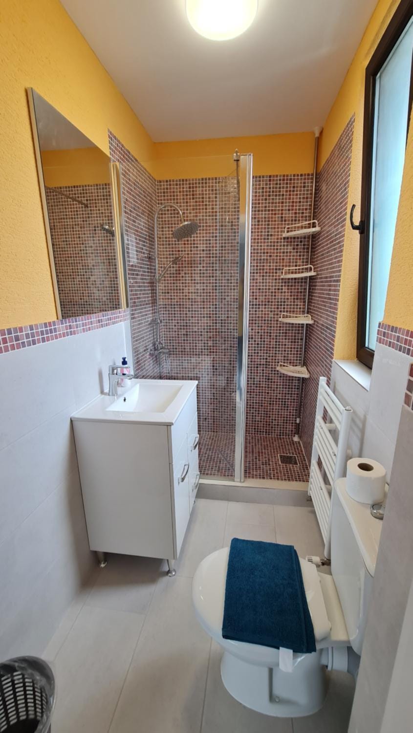 Shower, Toilet, Bathroom, towels