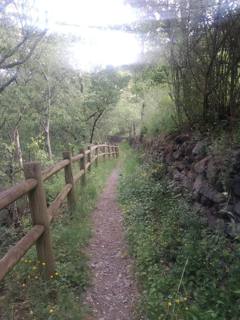 APARTAMENT BETTY Apartment in Pallars Jussà