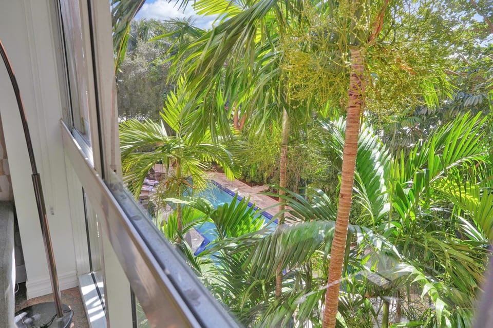 Treetop Retreat! Cozy 2 Bedroom In Heart Of Grove Apartment in Coconut Grove