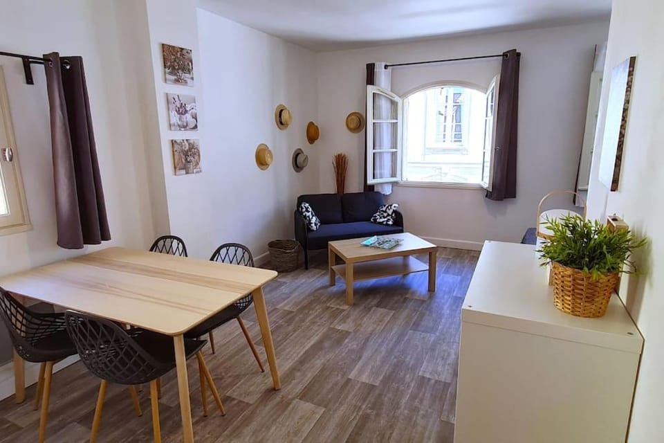 Charmant et Lumineux Studio Intramuros Apartment in Avignon