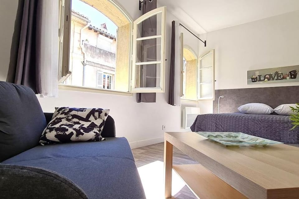 Charmant et Lumineux Studio Intramuros Apartment in Avignon