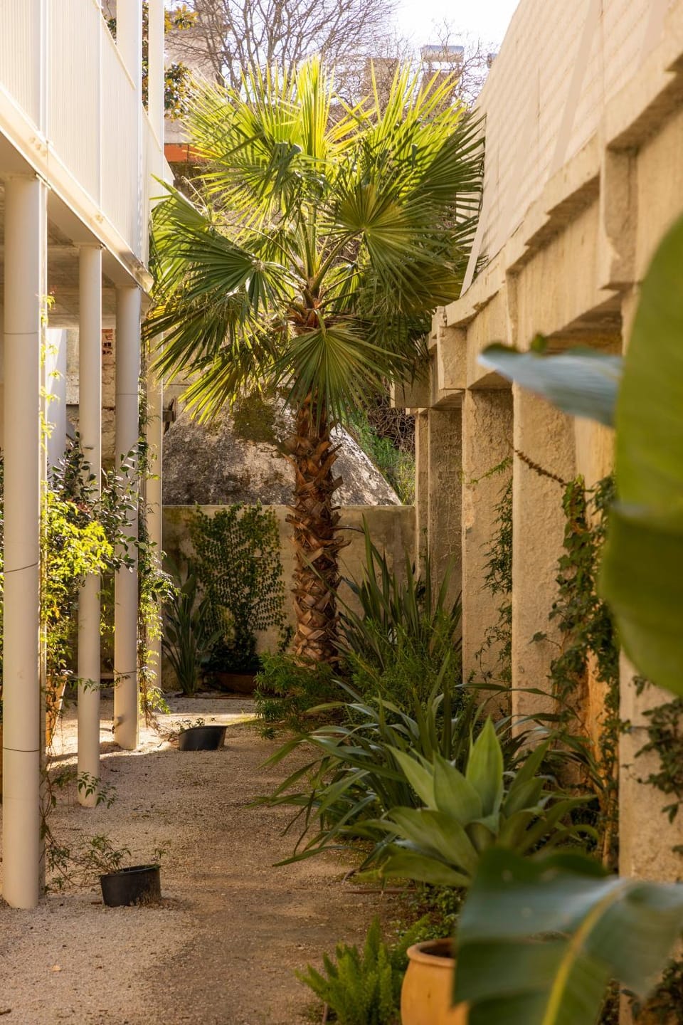 Garden, Garden, Garden view