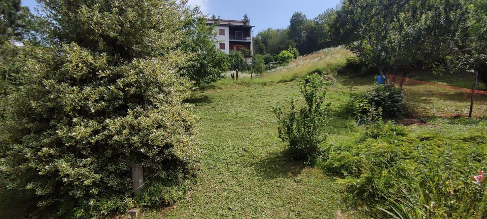 Garden, Garden view
