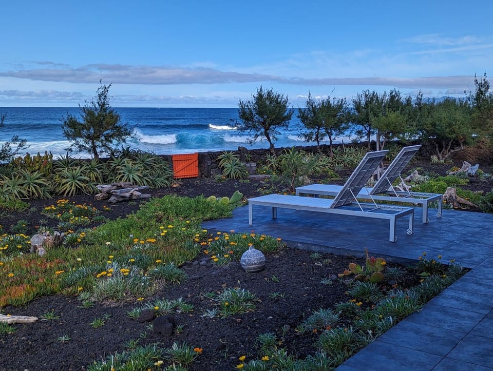 Natural landscape, Garden, Sea view, sunbed
